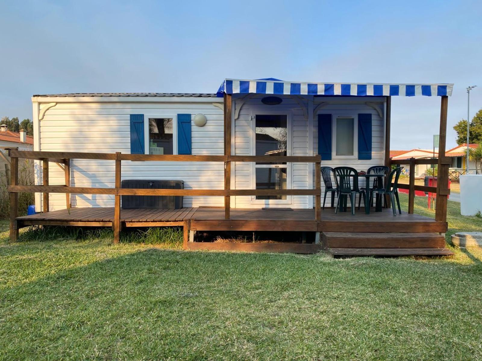 Campsite Atlantic Shell *